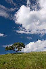 photo "***"