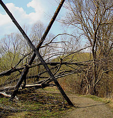 photo "X-zone, Welcome ..."