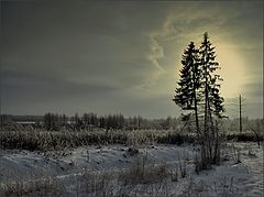 фото "Метель прошла"