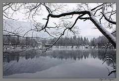 photo "***"