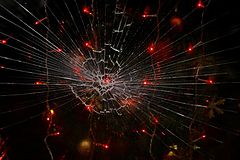 фото "Spider Wint."