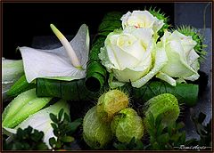 photo "flowers in the rain"