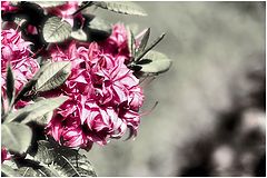 фото "#5"
