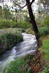 photo "Away from a day's rush runs a creek"