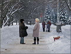 фото "про собачку))"