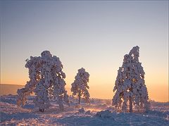 фото "Последний вечер года"