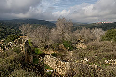 photo "***"