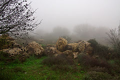 photo "***"