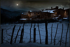 photo "Winter moonlight"