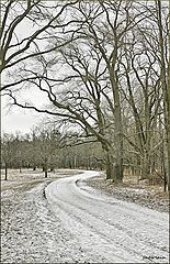 photo "***"