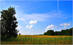 photo "***"