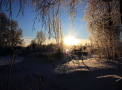 photo "***"