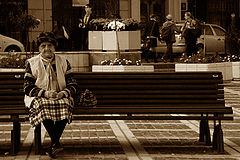 фото "..."