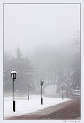 photo "***"