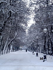 фото "Суббота. Утро. Центр города"