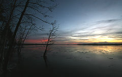 photo "***"