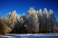 photo "***"