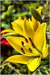 фото "#6"