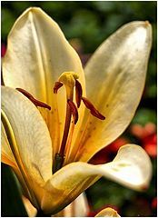 фото "#7"