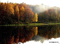 photo "***"