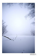 фото "Foggy sunday morning"