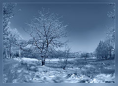 photo "***"