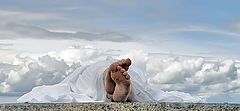 фото "sleeping angel"