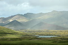 photo "***"