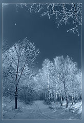 photo "***"