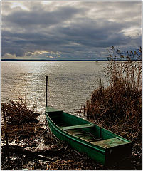 photo "Severe November"