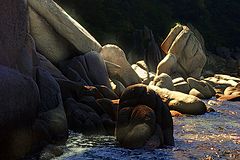 photo "***"