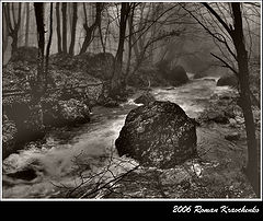 photo "***"