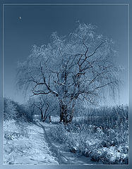 photo "***"