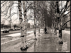 фото "Весна посреди зимы"