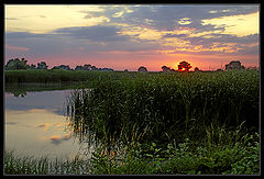 photo "***"