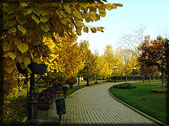 photo "Autumn bend"