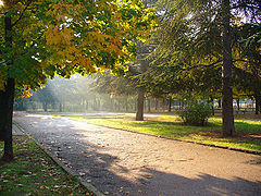 фото "Утро"