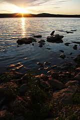 photo "***"