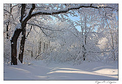photo "***"