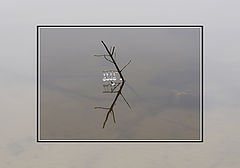 photo "***"