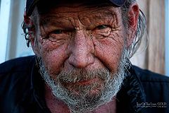 photo "Wisdom Of Years. 96 of them."