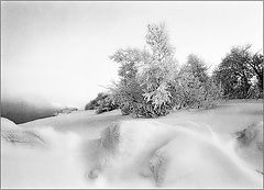 photo "***"