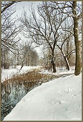 photo "Winter mood"
