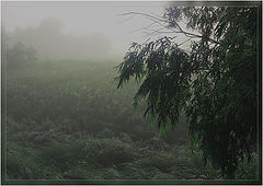 photo "***"