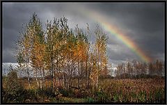photo "Autumn Rainbow"