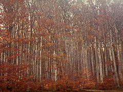photo "couleur"
