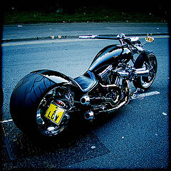 photo "Too Low"