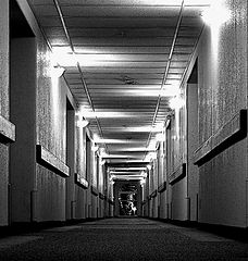 фото "Lonely Hotels"