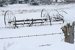 photo "***"