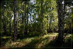 photo "***"